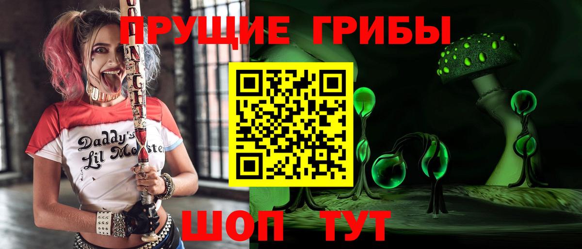 Галлюциногенные грибы GOLDEN TEACHER  сколько стоит  Вход с VPN  Тара  Псилоцибиновые грибы Magic Shrooms 